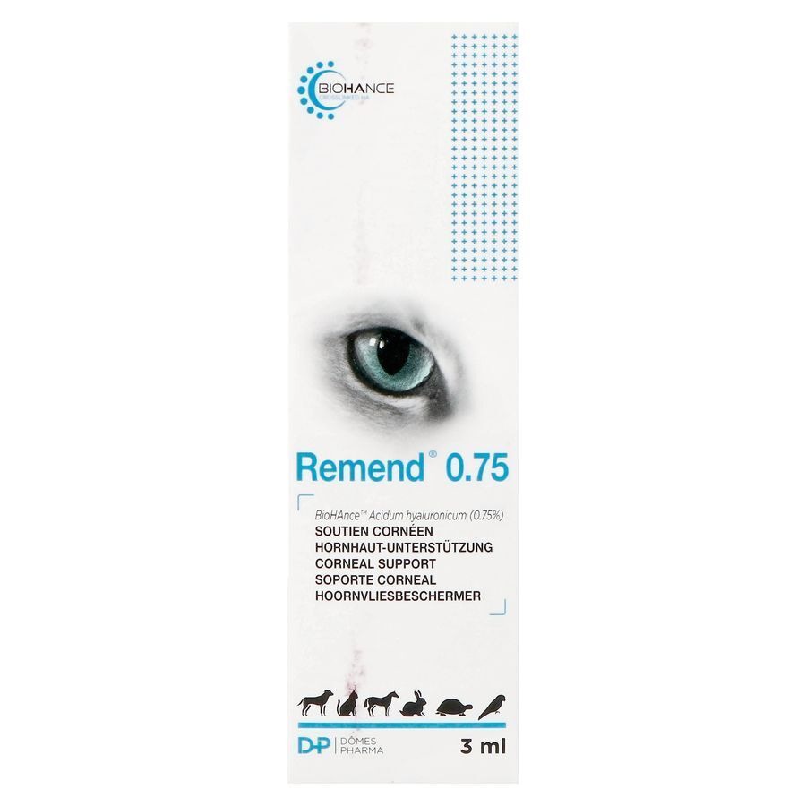 Remend 0.75 Soutien Corneen 3ml
