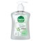Dettol Wasgel Aloe Vera & Bamboe 250ml
