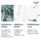 Eucerin Dermopure Clinical Peeling 10 Nachtverzorging 40ml