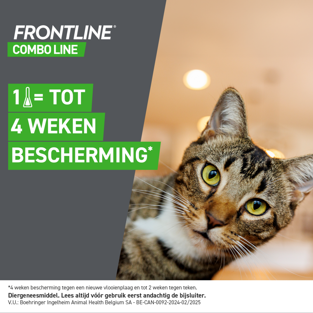 Frontline Combo Line Cat 3x0,5ml