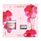 Caudalie Coffret Noël Resveratrol-Lift 2025 3 Produits