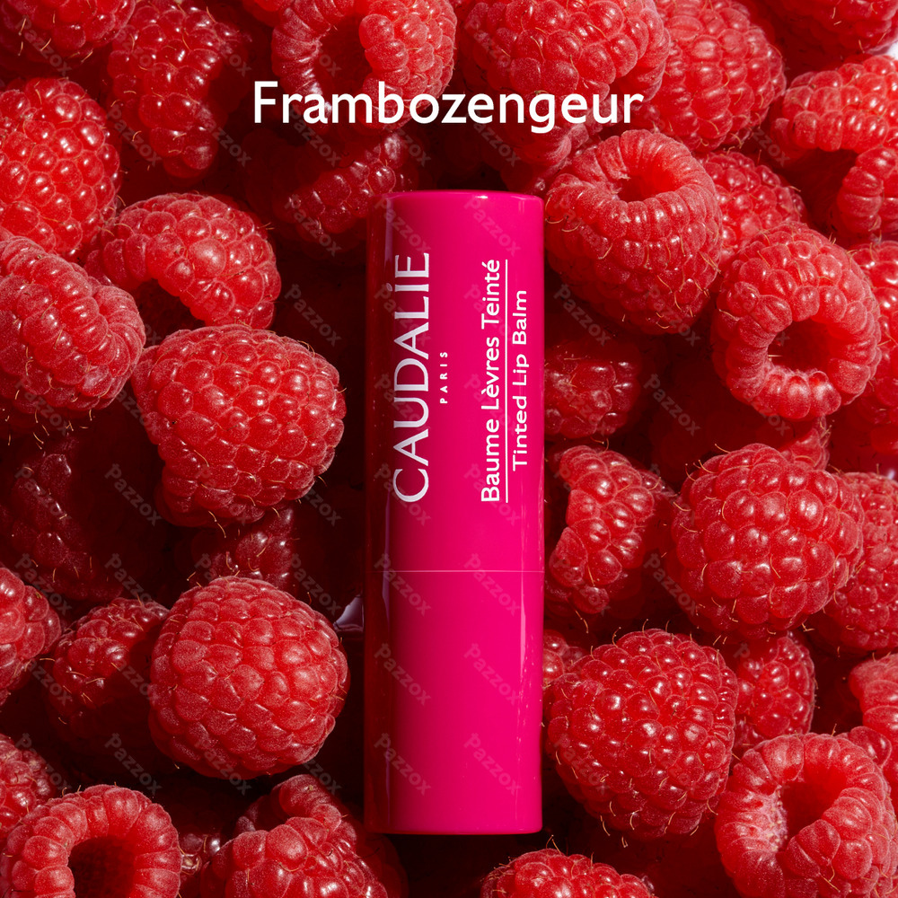 Caudalie Getinte Lippenbalsem 4,5g