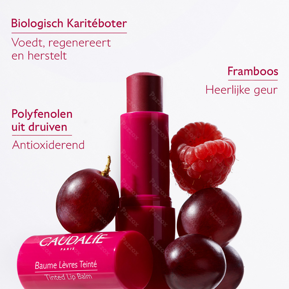 Caudalie Getinte Lippenbalsem 4,5g