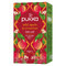 Pukka Wild Apple & Cinnamon Biologische Thee 20 Zakjes