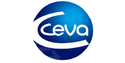 Ceva